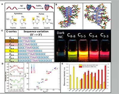 The Fluorescent Palette of DNA-Templated Silver Nanoclusters for Biological Applications